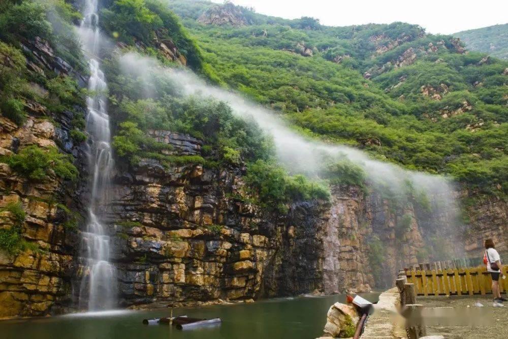 秋冬季节什么花适合养在阳台，养菊花漂亮且易养，你知道吗？